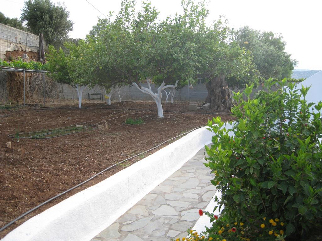 Villa Angela إسترو المظهر الخارجي الصورة